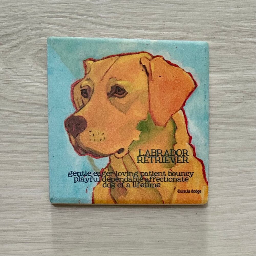 Labrador Retriever Drink Coaster